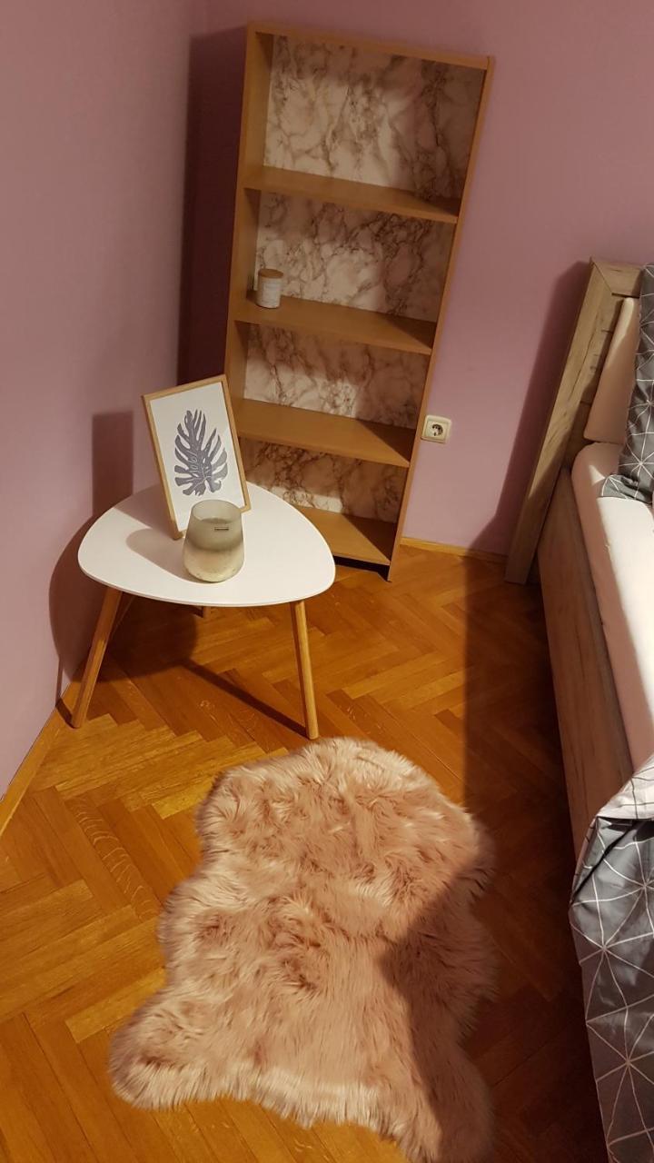 נובי סאד Apartment Krsta מראה חיצוני תמונה